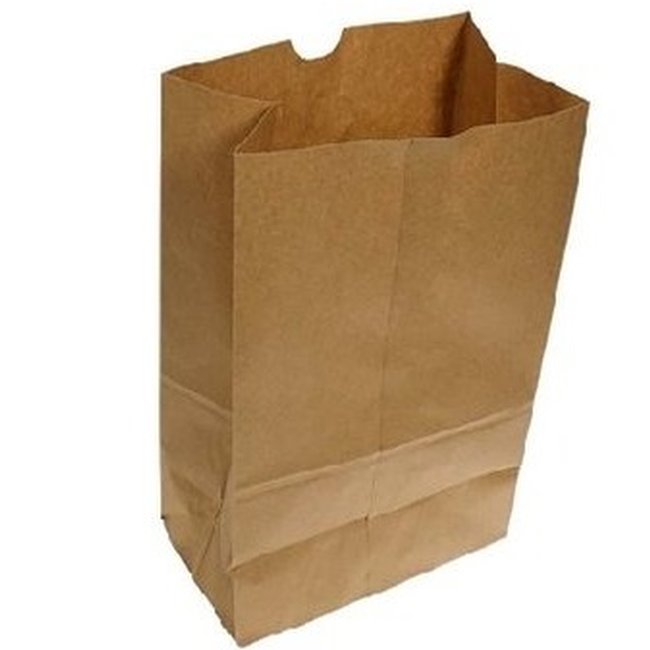 Sac D'épicerie en Papier Brun DD50, 9.75