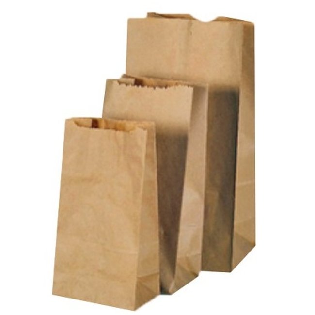 Sac en Papier Brun 5LB, 5.25' x 3.4' x 10.5'